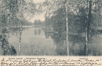 Särkijärvi