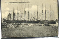Osa Lavansaaren kauppalaivastoa 